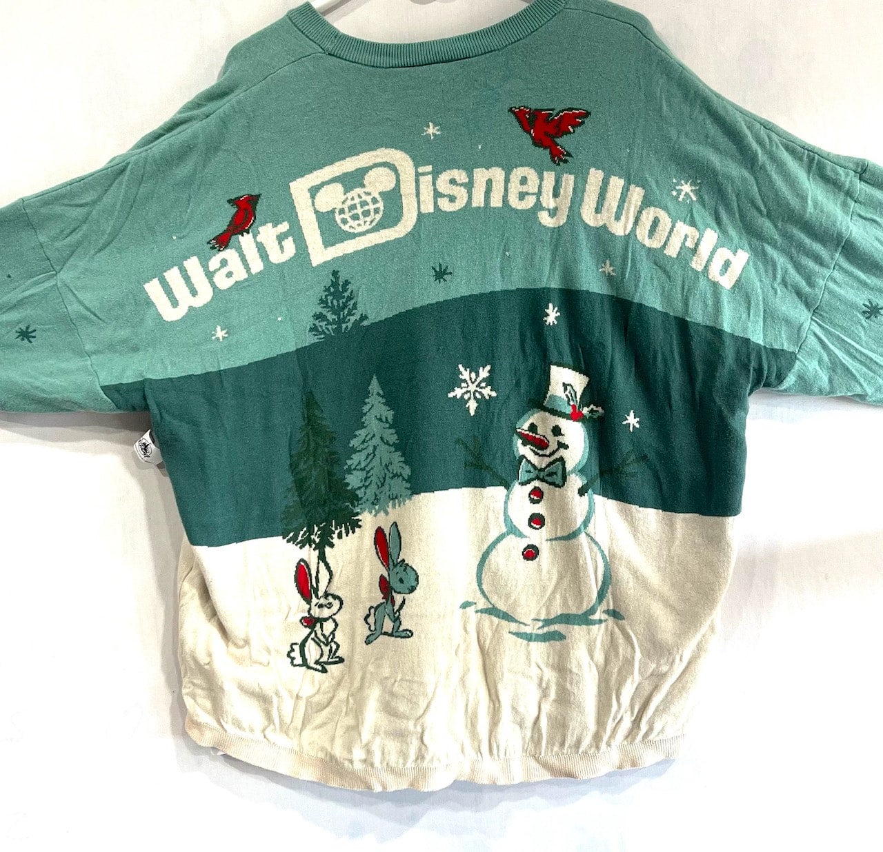 Disney World Christmas Spirit outlet Jersey xs